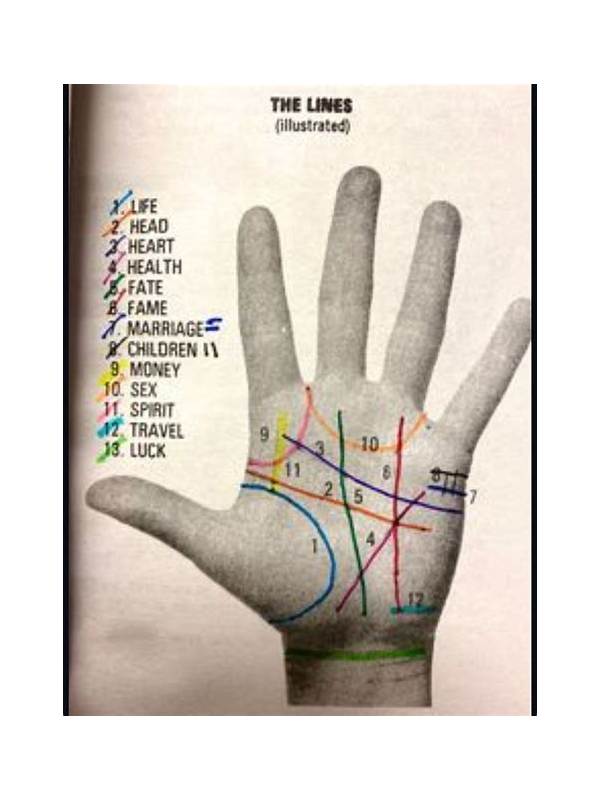 Rummy Guide: Read the Table Before Reading Your Hand