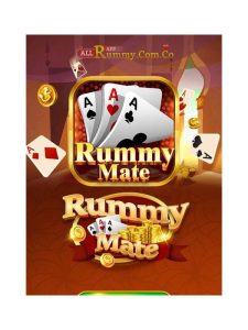 A Mobile Rummy Screen Setup for Fewer Missed Details